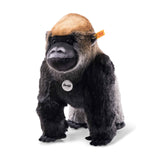 National geographic - Boogie Gorilla