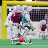 【Christmas Sale】Smart Robot Lawrence Special Deal