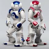 【Christmas Sale】Smart Robot Lawrence Special Deal