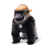 National geographic - Boogie Gorilla