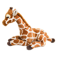 Baby Giraffe Plush
