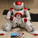 【Christmas Sale】Smart Robot Lawrence Special Deal