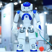 【Christmas Sale】Smart Robot Lawrence Special Deal